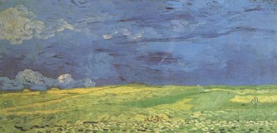 Vincent Van Gogh Wheat Field under Clouded Sky (nn04) France oil painting art
